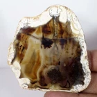 181.90Cts Beautiful Montana Agate Lapidary Crystal Rough Slab Compassion Gems