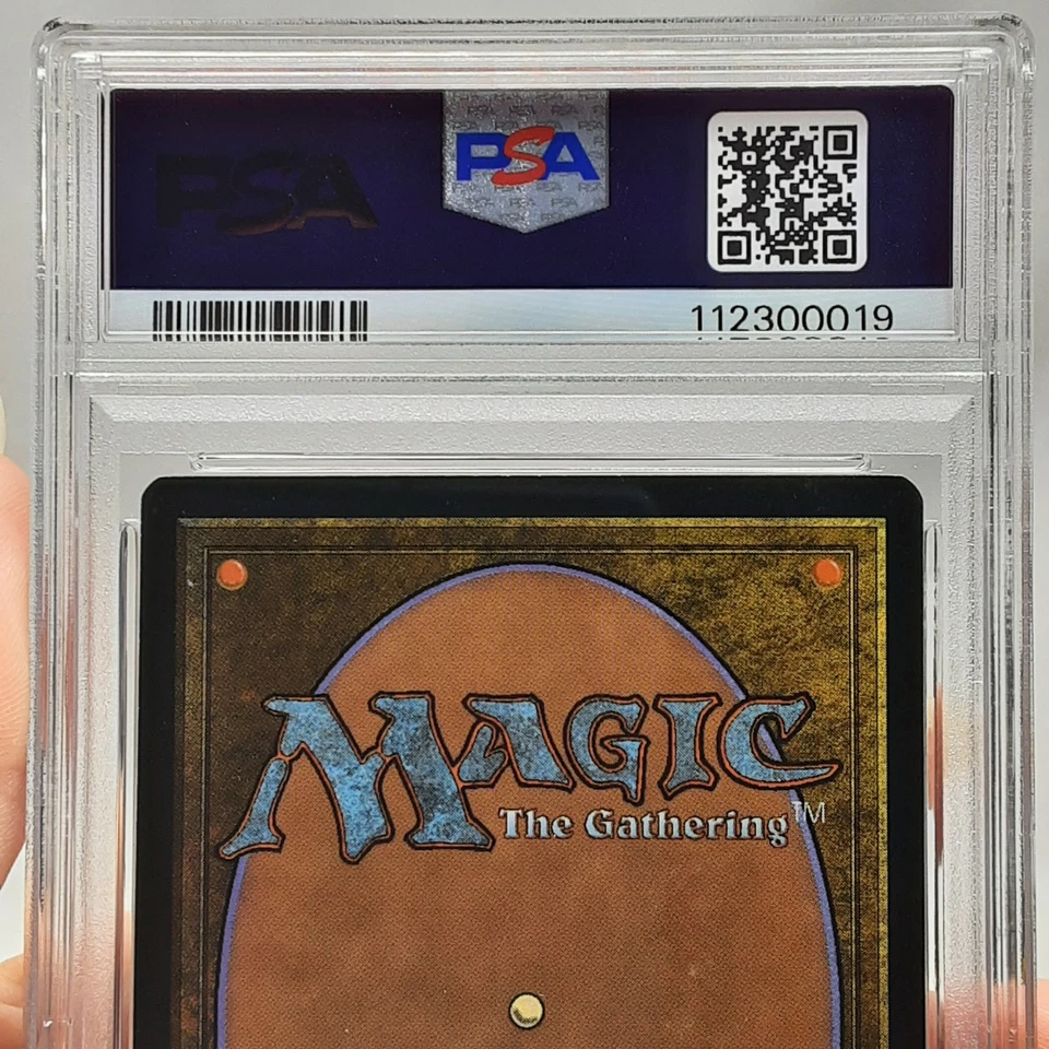 MTG - Tempest - Reabimate - Vintage - Graded PSA 8 - Image 4 of 4