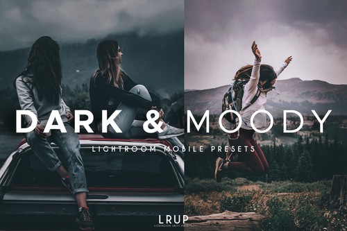 Dark and Moody, 4 Premium Lightroom Mobile Presets - Picture 2 of 4