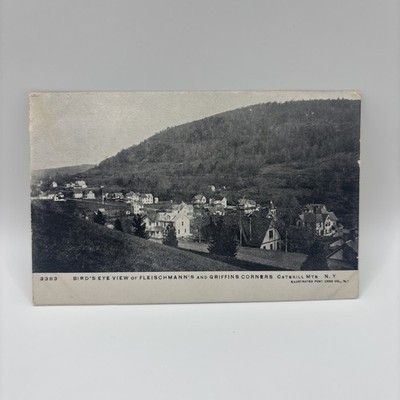 Vintage Postcard Bird s Eye View Of Fleischmann s And Griffins Corners, New York