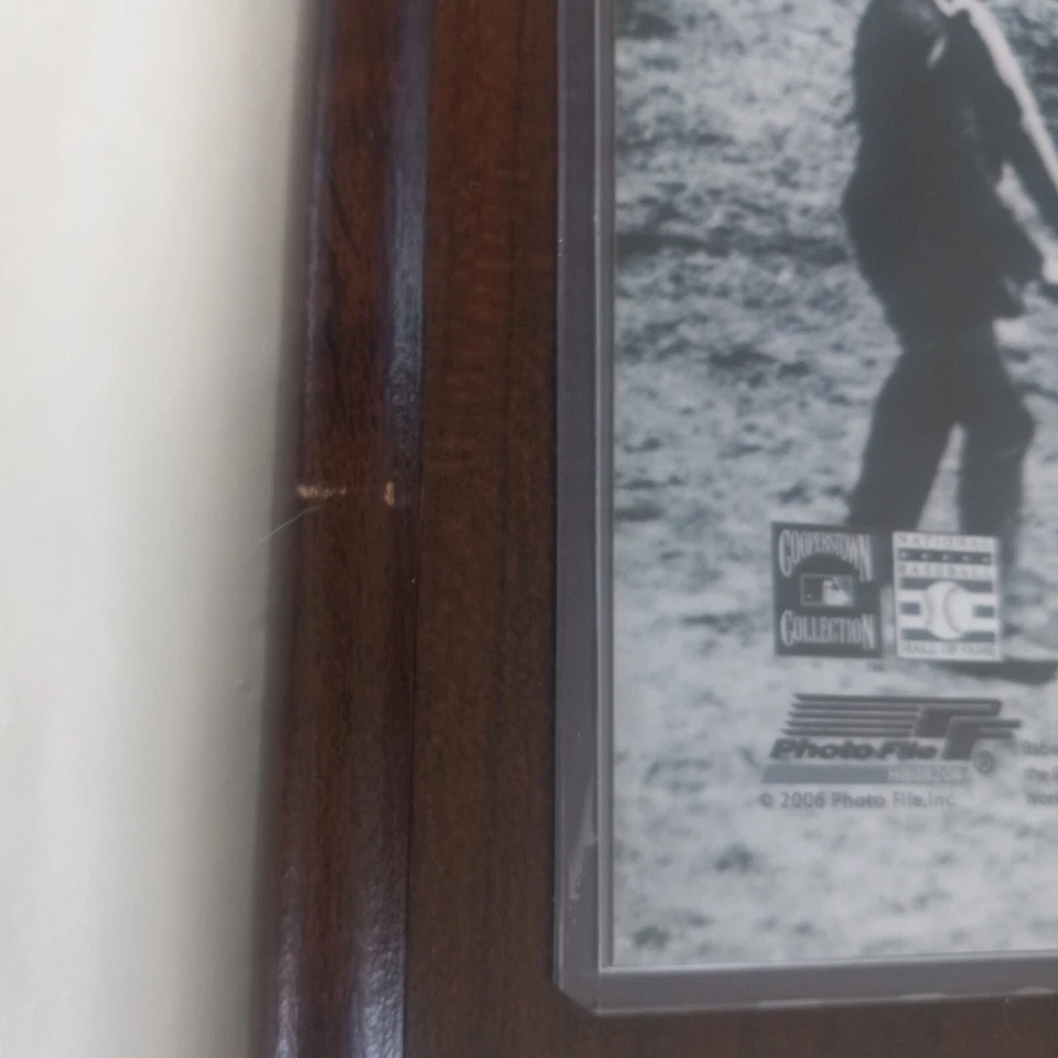 Babe Ruth The Sultan Of Swat 60 Home Runs New York Yankees Wooden Plaque 12x15 - Image 4 of 4