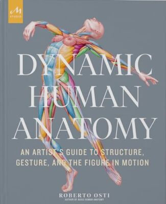 Dynamic Human Anatomy: An Artist's Guide to Structure, Gesture, and the ...