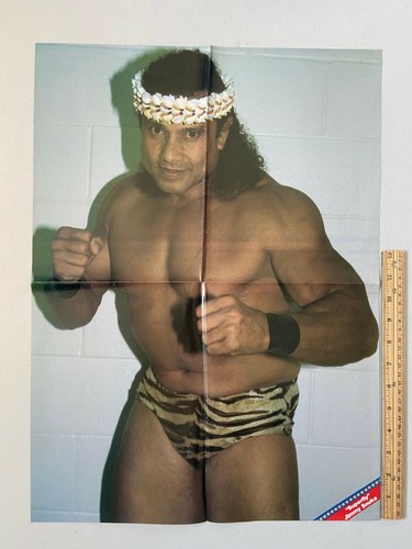 Wrestling Magazine 4 Page Double Sided Poster Jimmy Snuka Tully Blanchard - Picture 3 of 7