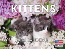 Kitten Calendar 2026 Cat Kitty Gifts Monthly Wall Calender 12 Month 12x18