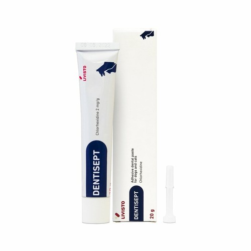 Dentisept Cat Dog Toothpaste Adhesive Sticky Dental Oral Paste 20g Tube