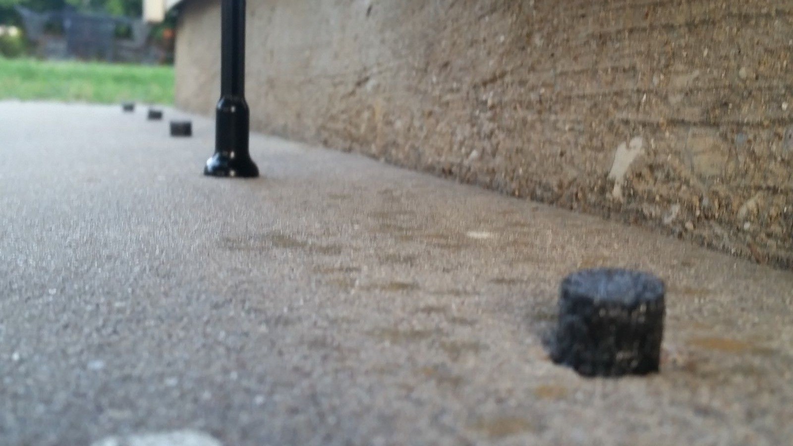 500 1/2" Super fast Termite drill hole plugs for holes drilled in