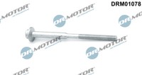 DRM01078 Dr.Motor Automotive Schraube, EinspritzdüSenhalter FüR Audi,Seat,Skoda,