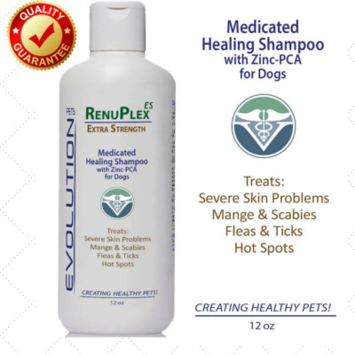 shampoo for scabies in dogs