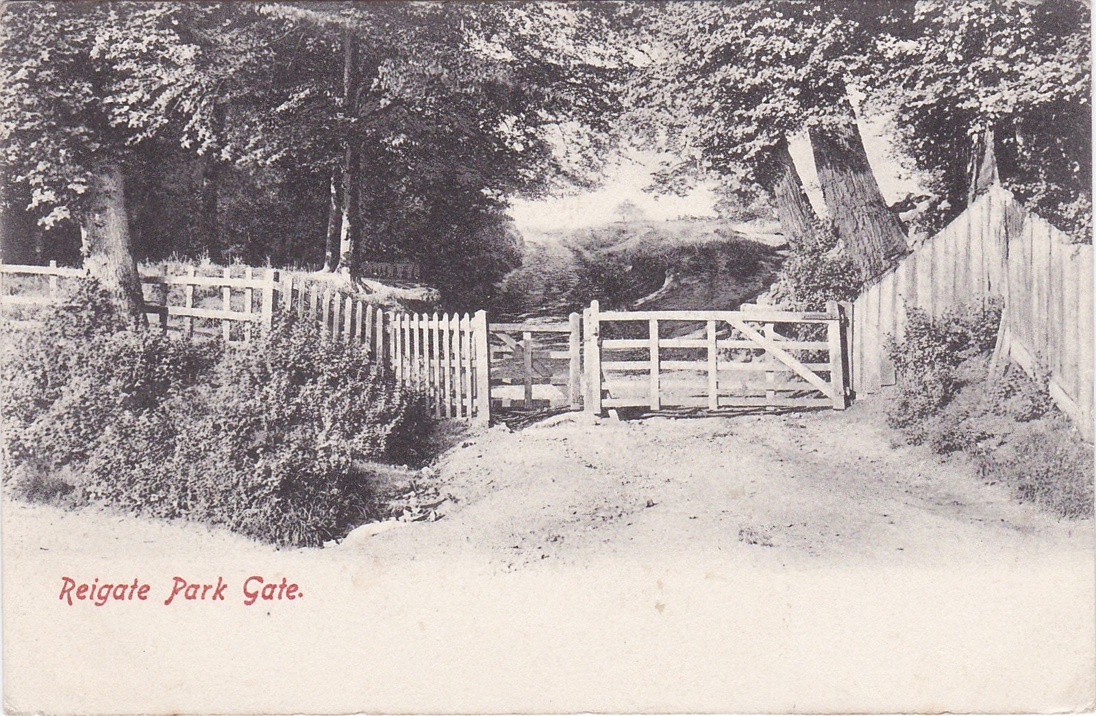 Reigate Gate The Park Gate, REIGATE, Surrey | eBay
