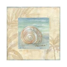 Island Shell I by Cynthia Coulter 12x12 Art Print Starfish Seaside