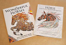 LOT OF 2-THE WONDERFUL WORLD OF HORSES  HORSE COLORING BOOK FOR ADULTS ITEM 544