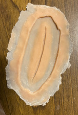 Silicone prosthetic gash cut
