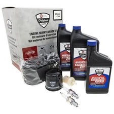 Exmark 146-3773 Engine Maintenace Kit Quest S-Series Radius E-Series SAE 10W30
