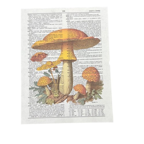 Stampe arte pagina dizionario a tema funghi, set 5 stile cottagecore pagina libro vintage - Foto 6 di 6