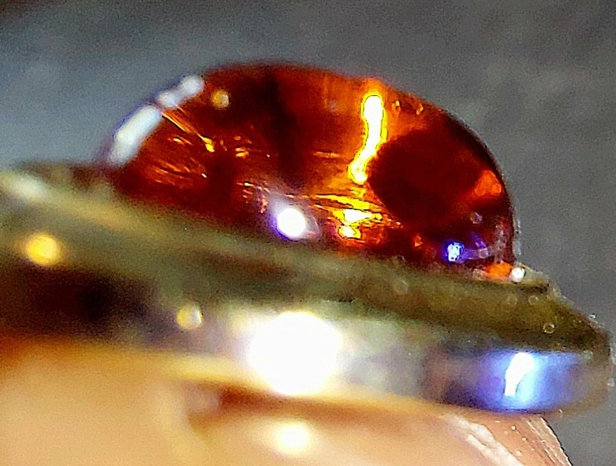 Ohrhänger 333er Gelbgold Bernstein Ohrringe Ohrschmuck - Bild 4 von 4