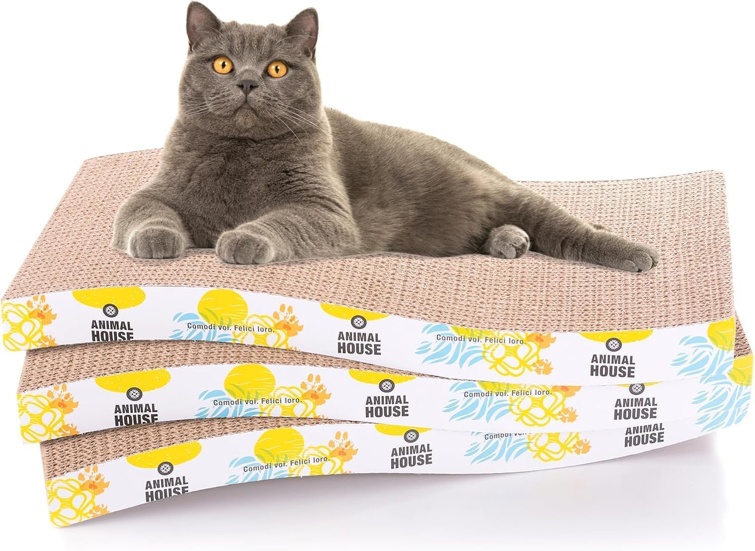 Set 3 Graffiatoi Gatto in Cartone | Divertimento Assicurato e Unghie OK