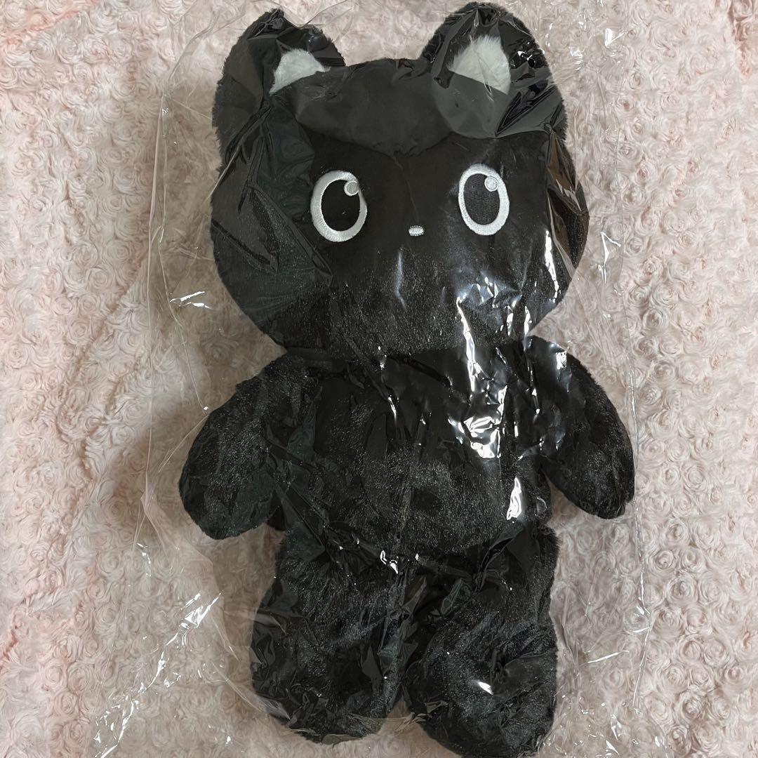 RIIZE Won Bin Master Plush Toy 40Cm KPOP | eBay RIIZE Won Bin Master Plush Toy 40Cm KPOP | eBay
