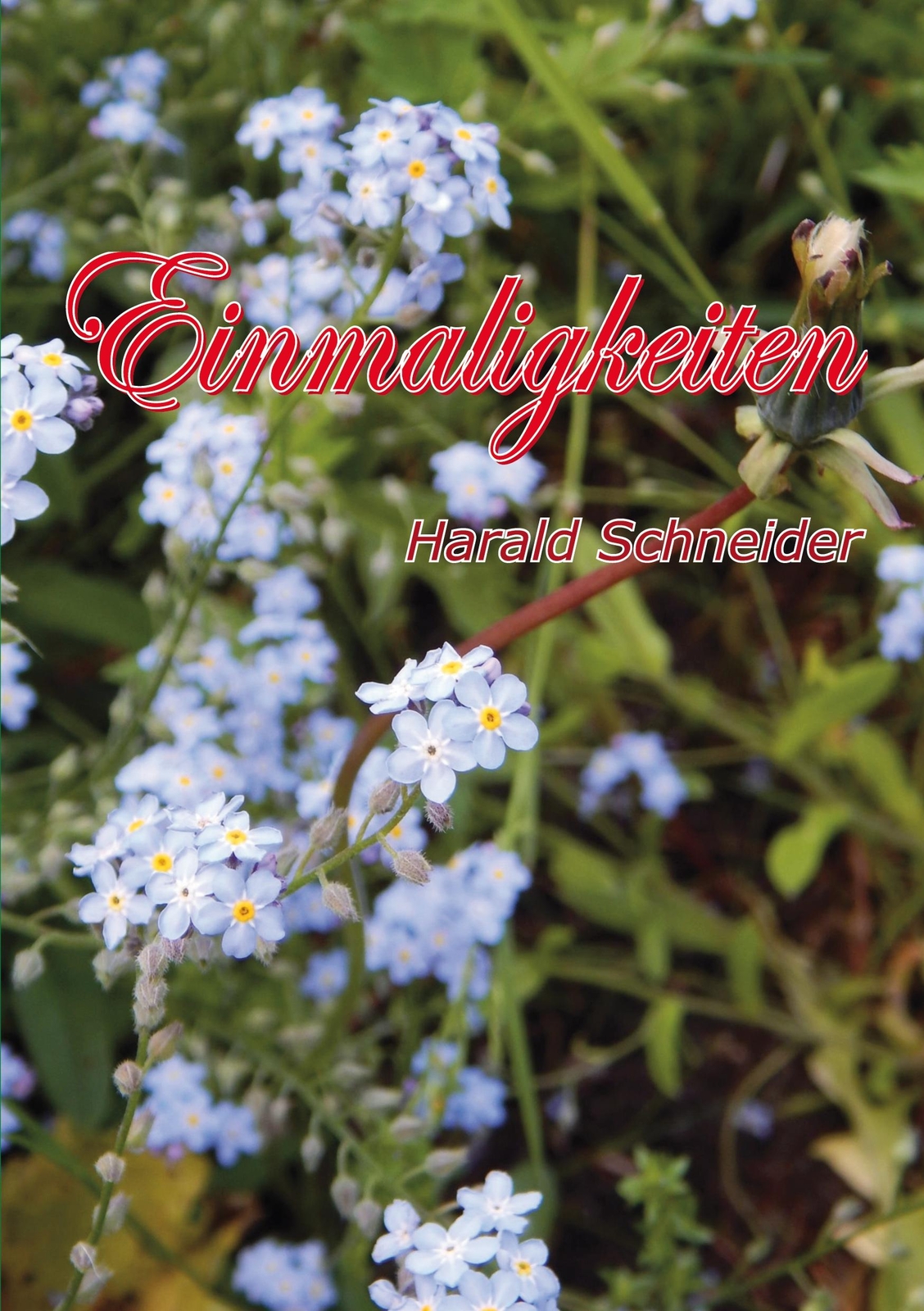 Einmaligkeiten | Buch | 9783751974028