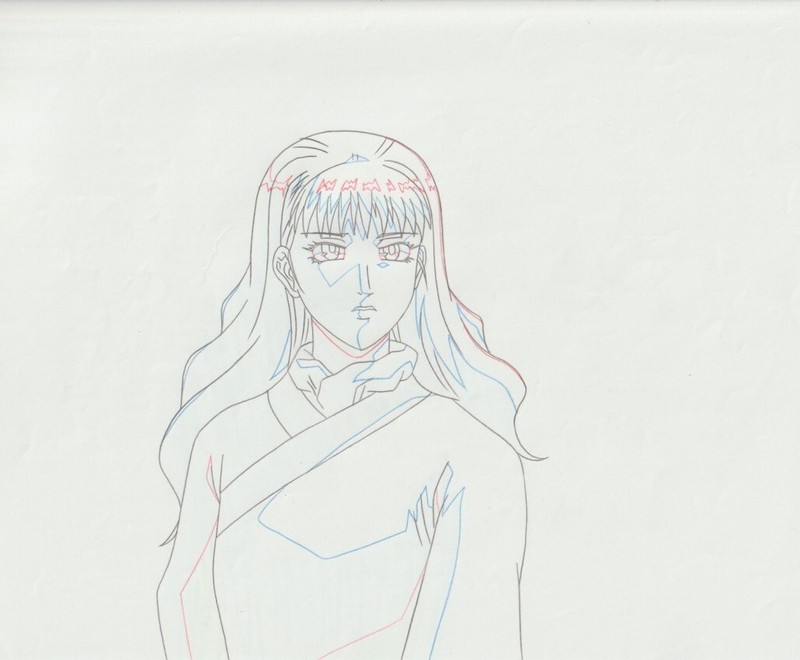 The Twelve Kingdoms Juuni Kokki Genga Douga Original Sketches Pierrot - Youko