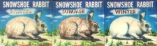 AUDUBON Snowshoe Rabbit Small VARI-VUE Animation Motion Lenticular Flicker