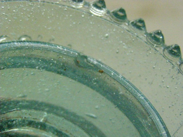 CD 160 [50] H.G.CO. Patent May 2 1893 fizzy aqua glass baby signal ...