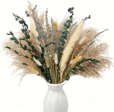 Erba Di Pampa 100 Pezzi,Fiori Secchi Decorativi,Fiori Secchi Naturali,Fiori Secc