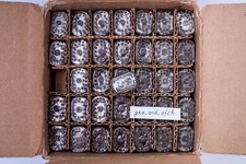 IN-12B Nixie Tubes NEW TESTED NOS xUSSR Excellent Condition 6 PCS SET