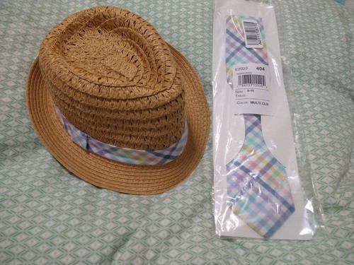 The Children's Place Boys Large 8-16 Spring Easter Straw Hat And Pastel Tie Set - Picture 2 of 8
