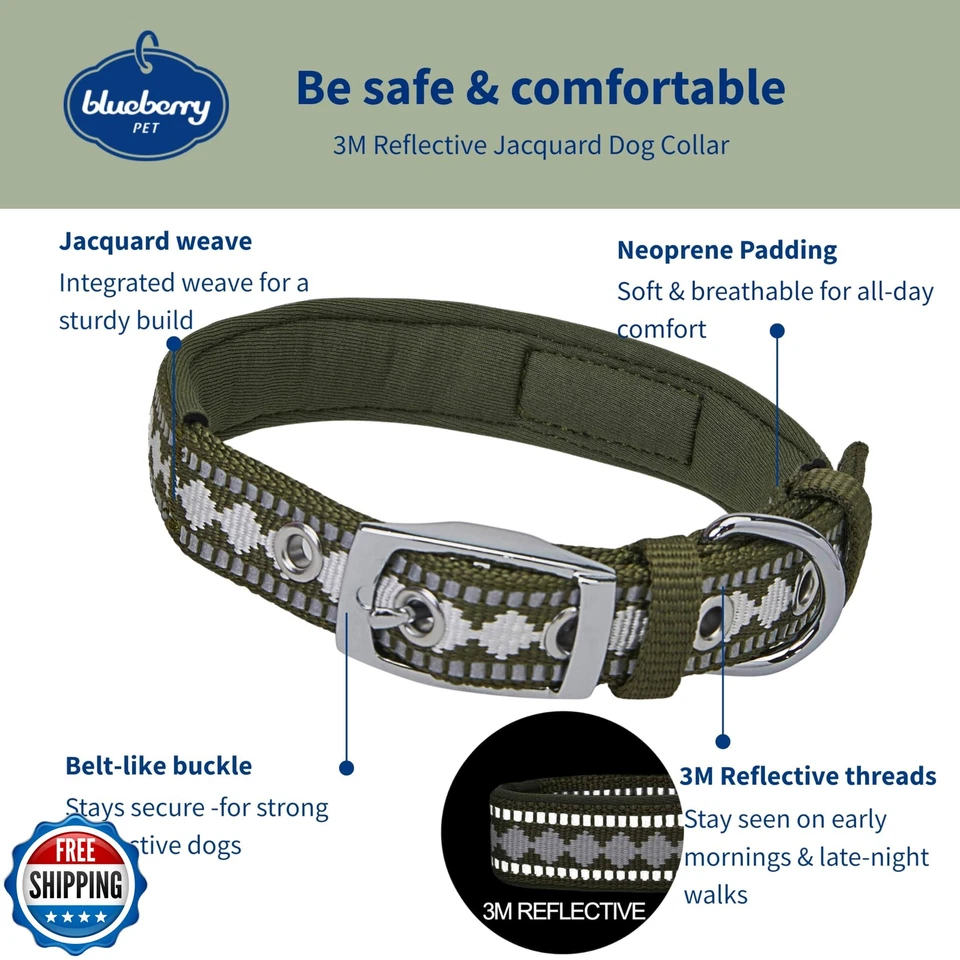 蓝莓宠物反光提花狗项圈带氯丁橡胶衬垫和金属 — 第 2/4 张图片