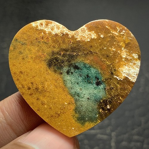 Jasperized Coral Fossil Cabochon 34x30x5mm High Quality 37.5 ct - Picture 7 of 7