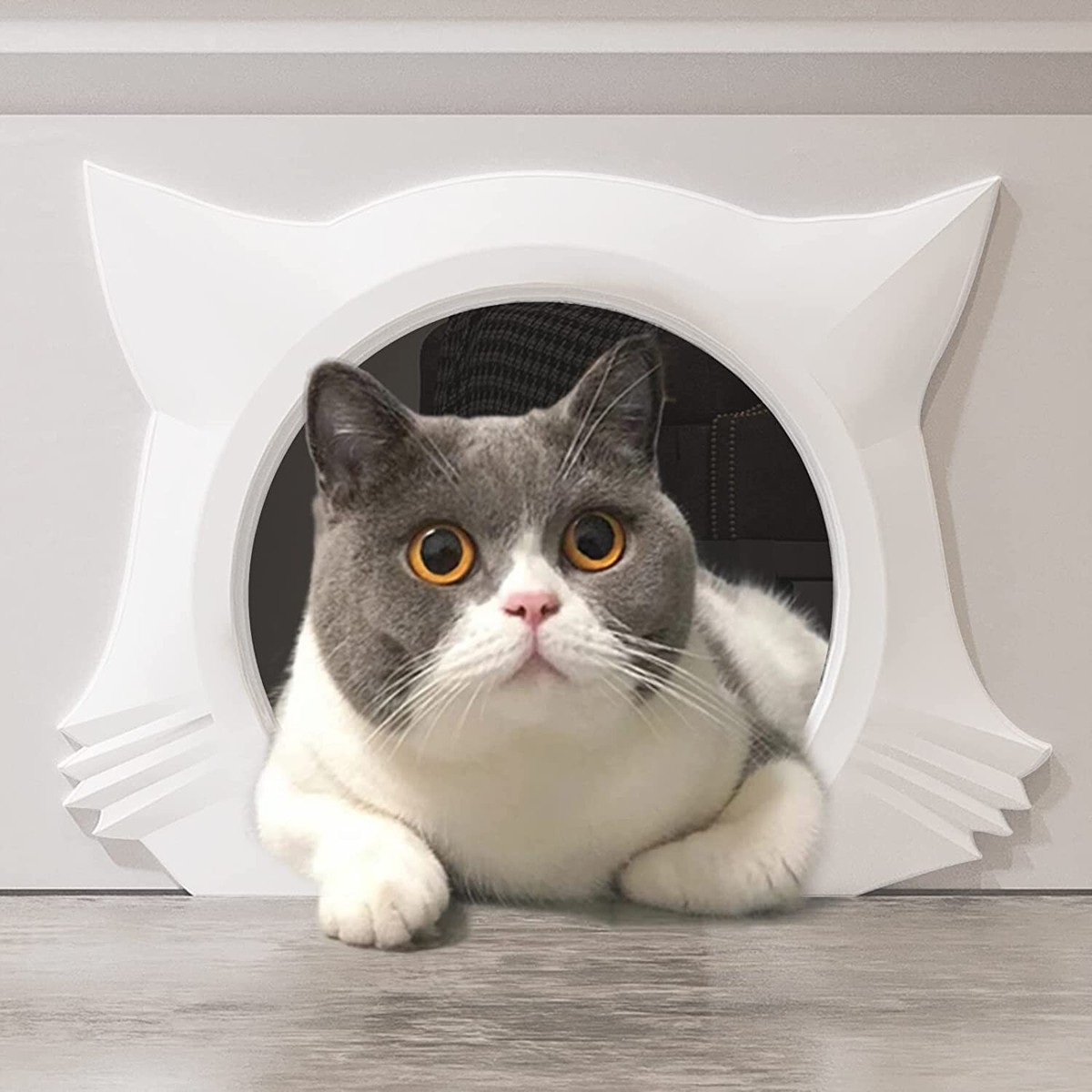 【中古】 Cat－Shaped Hole in My Heart A cat-shaped hole in my heart (1999) | Various Artists