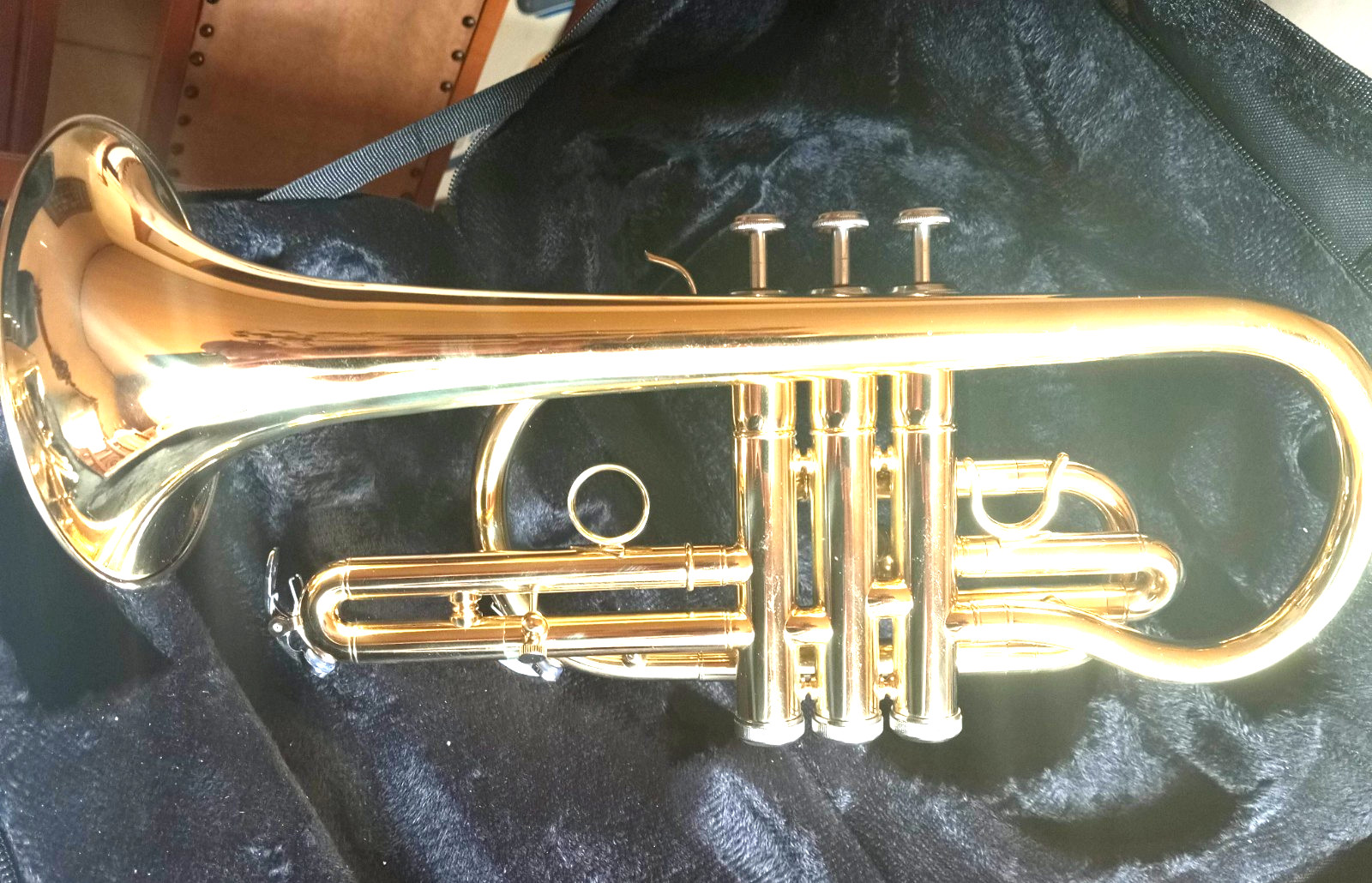 Cornetta sib