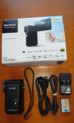 SONY HDR-GWP88 Video Camera HandyCam Used from JP | eBay