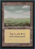 Plains (C Dark) Collectors' Edition - International MINT CARD (328128) ABUGames