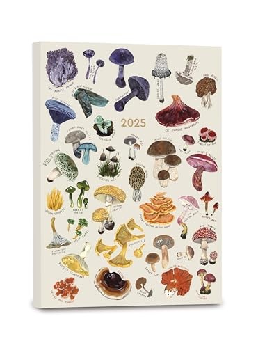 High Note 2025 Planner, 17-Month Weekly & Monthly Softcover Planner: August ...