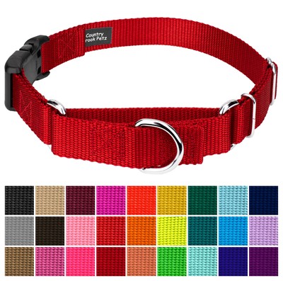Country Brook Petz  Heavy Duty Nylon Martingale Dog Collar with Deluxe Buckle