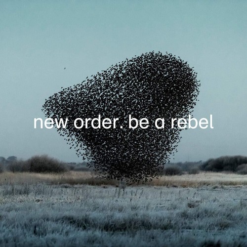 New Order Be A Rebel 12 Inch Vinyl NEW