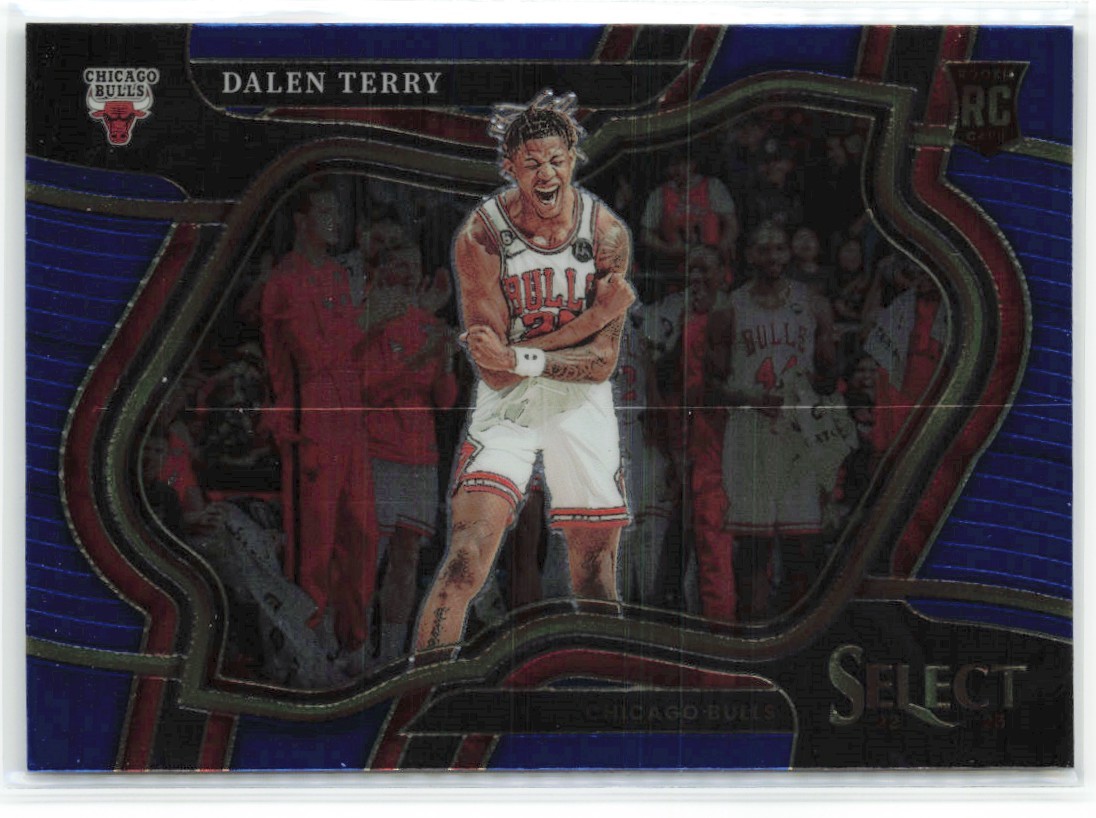 2022-23 Panini Select Courtside Dalen Terry RC Chicago Bulls #275