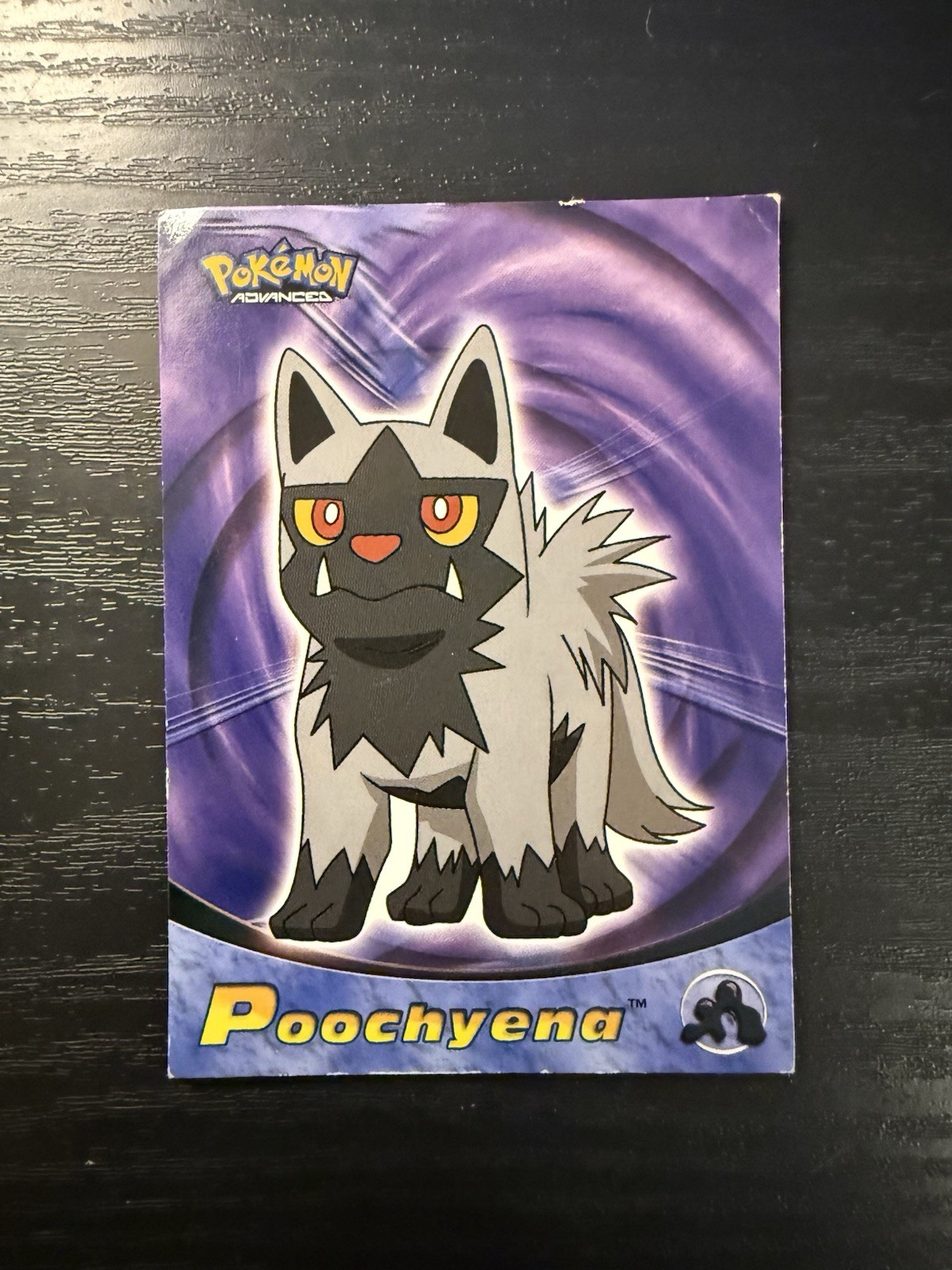 Topps 2003 Pokemon Advanced Holo Foil Card #64 Poochyena Vintage Rare