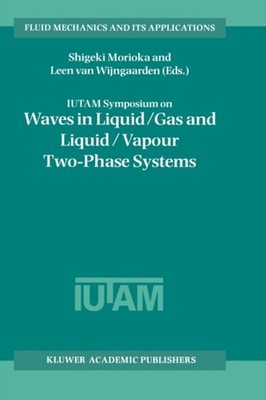 Morioka - IUTAM Symposium on Waves in Liquid/Gas and Liquid/Vapour Two - X555z