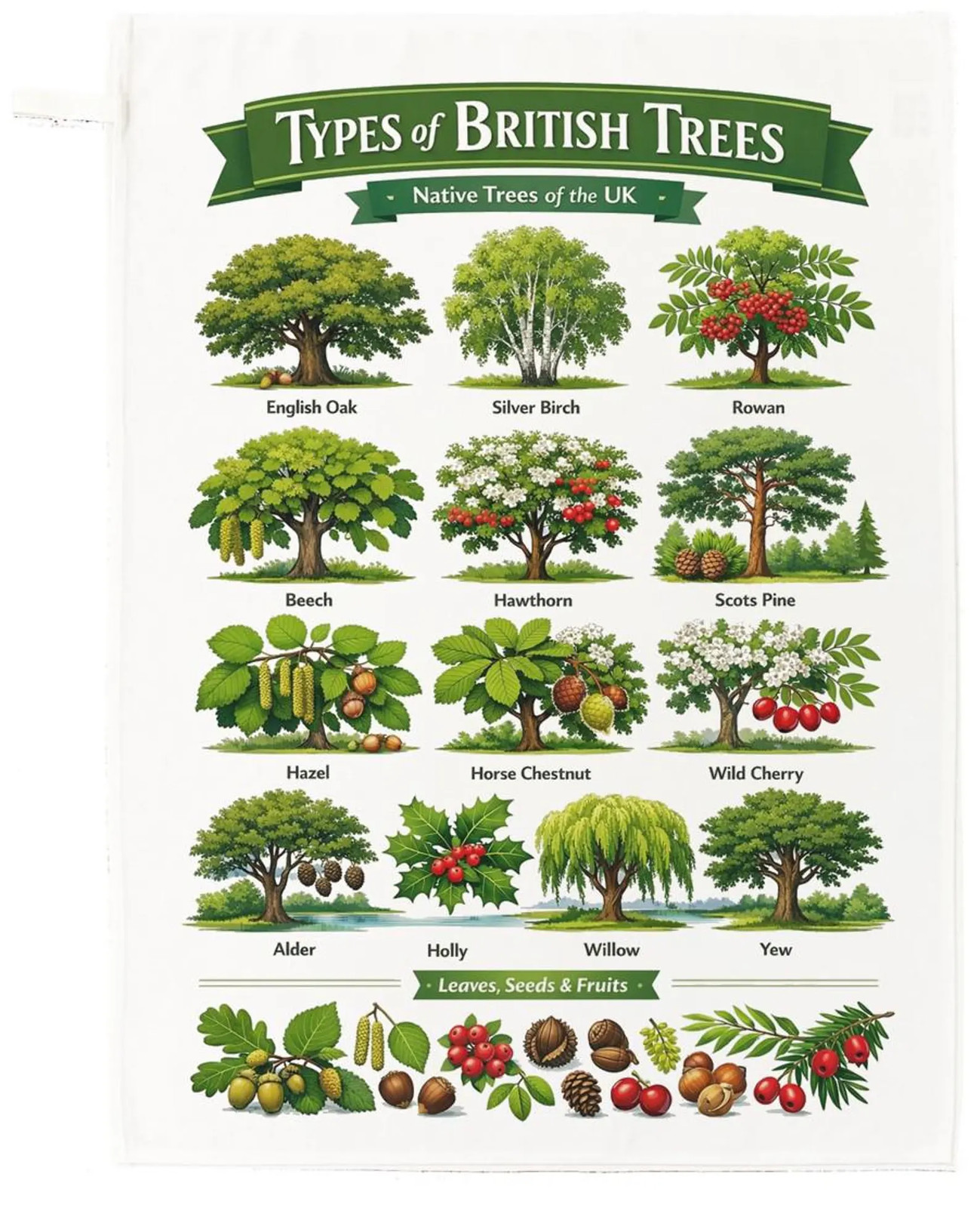 Haf a Donkey Types of British Tree cotton tea towel