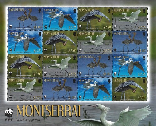 MONTSERRAT - 2010 MNH "WWF- Reddish Egret Birds" Souvenir Sheet !!!