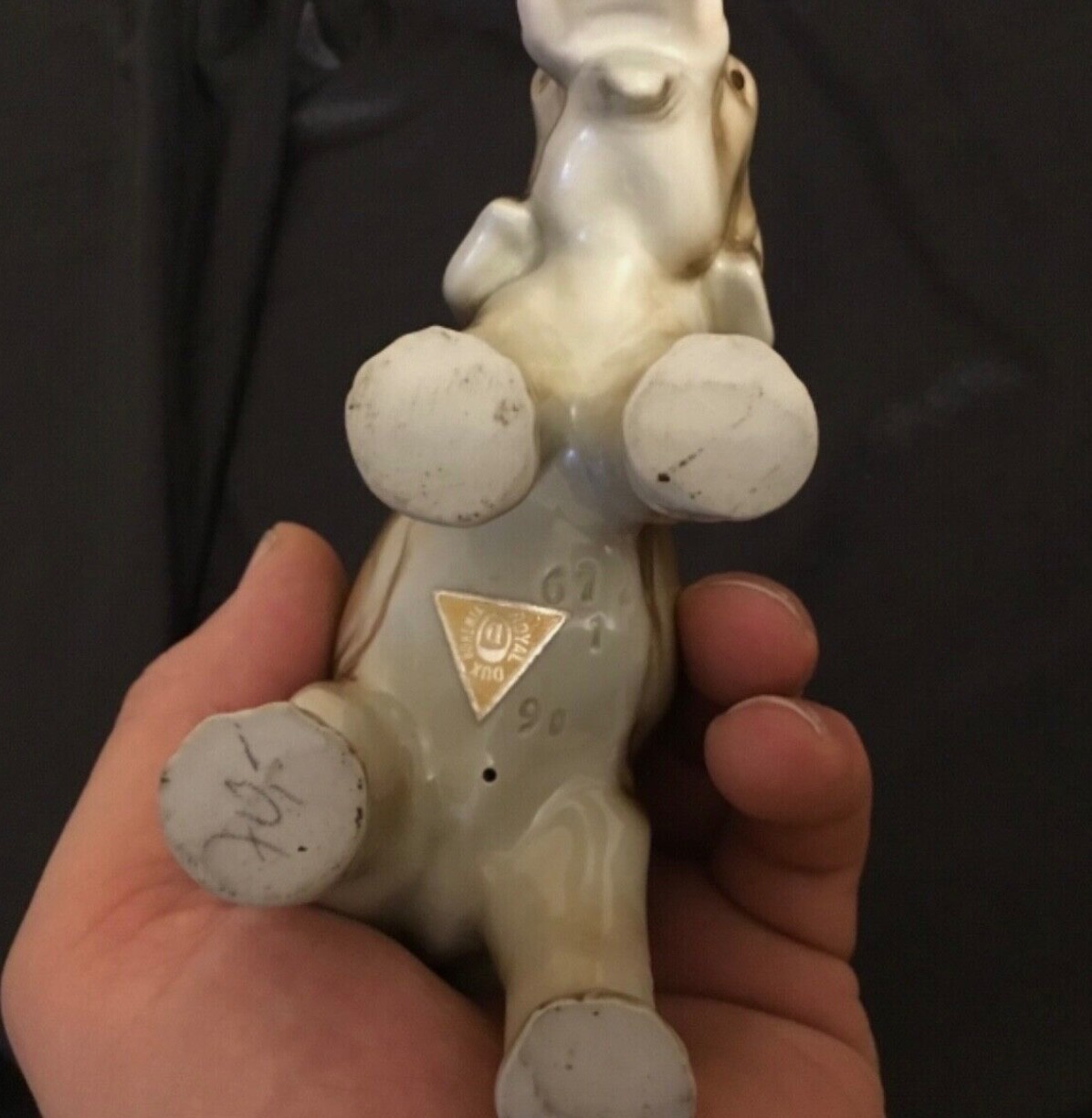 Picture 5 of 5