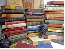 Lot of 10 Vintage Old Rare Antique Hardcover Books - Mixed Color - Random