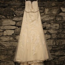 Davids Bridal Champagne Strapless Wedding Dress