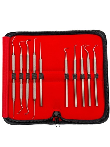 Dental Precision Probe Micro Oral Care Picks Single & Double Ended- 10 Piece Set - Bild 3 von 6