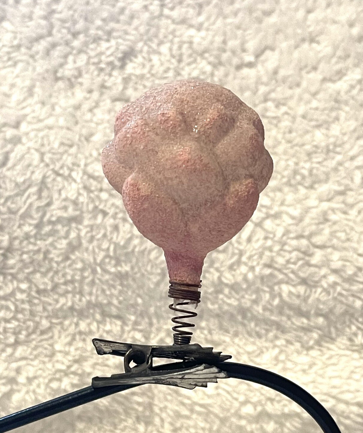 Antique Pink Mica Glass Flower Clip On German Christmas Ornament 3.5”