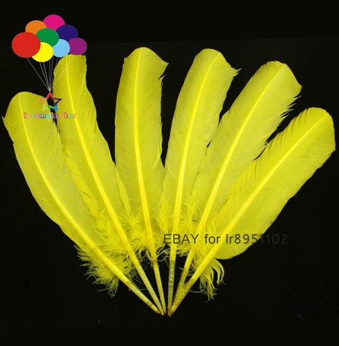 100 piezas plumas de pavo por plumas de ala 28-33 cm/11-13 pulgadas pluma blanca carnaval - Imagen 21 de 30