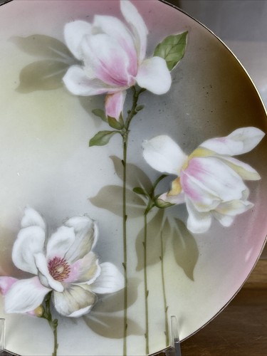 Reinhold SCHLEGELMIL RHS54 9 Inch Plate - Imagen 2 de 5