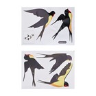 Home Wall Stickers Removable Vinyl Self-adhesive Application Bird Decals